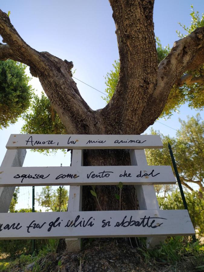 Relais Il Giardino Fra Gli Ulivi Villa Torino di Sangro Kültér fotó