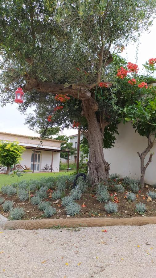 Relais Il Giardino Fra Gli Ulivi Villa Torino di Sangro Kültér fotó