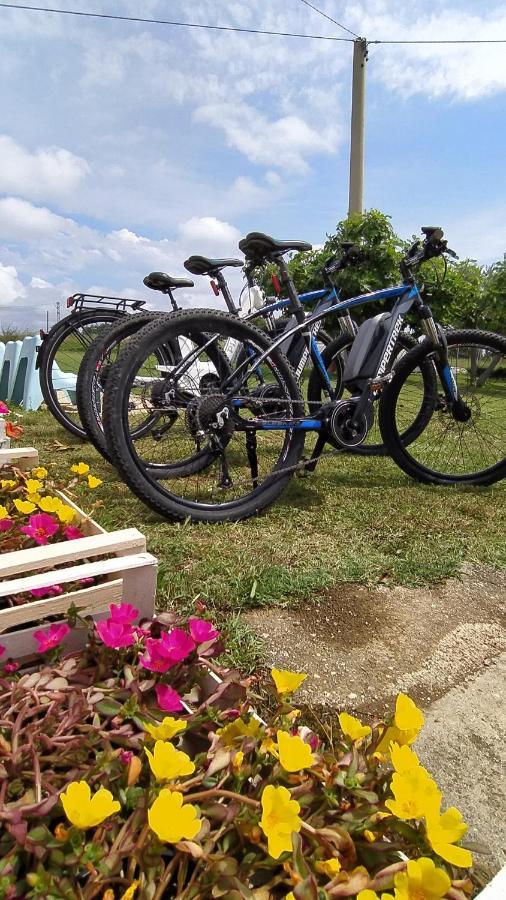 Relais Il Giardino Fra Gli Ulivi Villa Torino di Sangro Kültér fotó
