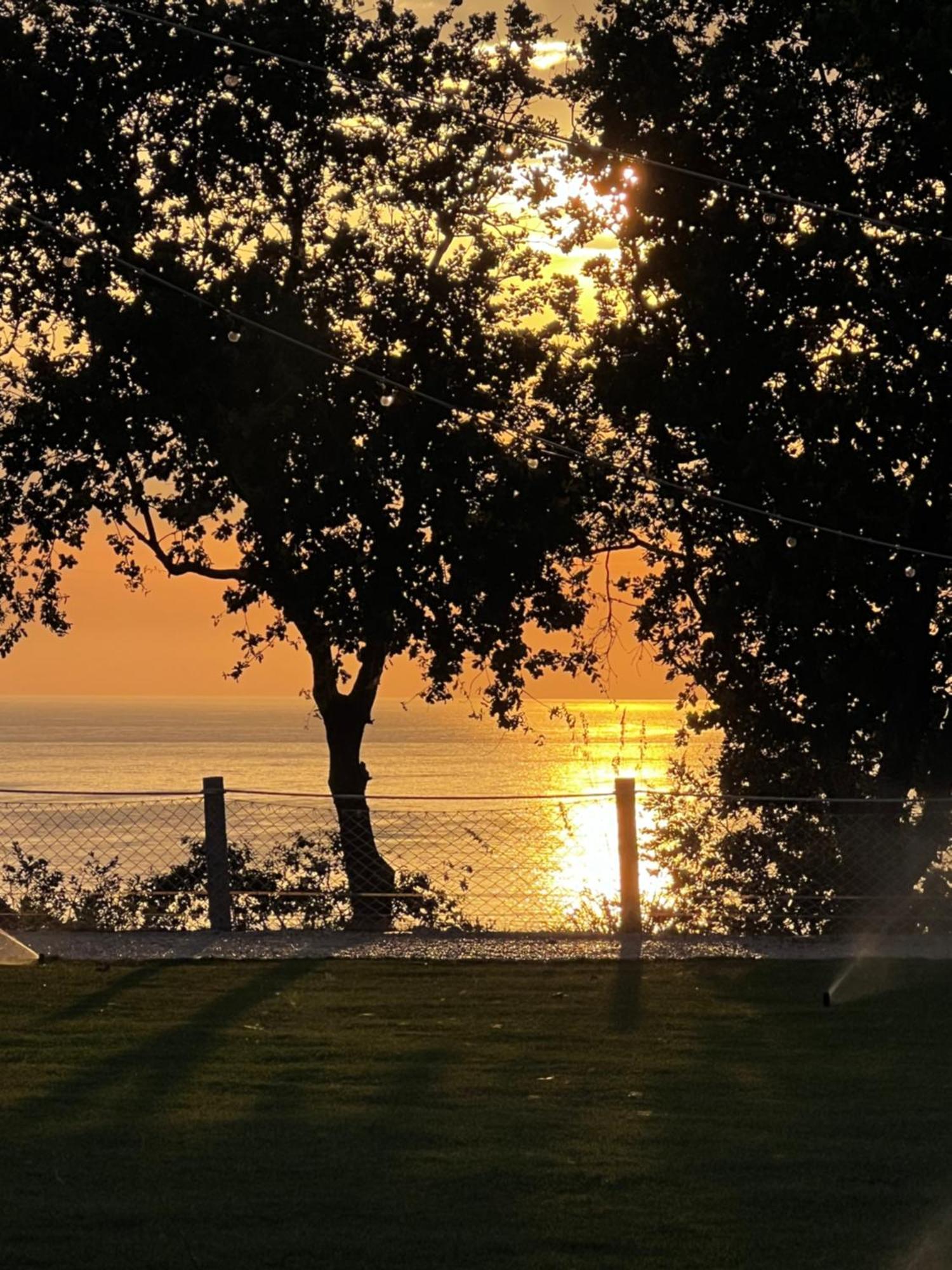 Relais Il Giardino Fra Gli Ulivi Villa Torino di Sangro Kültér fotó