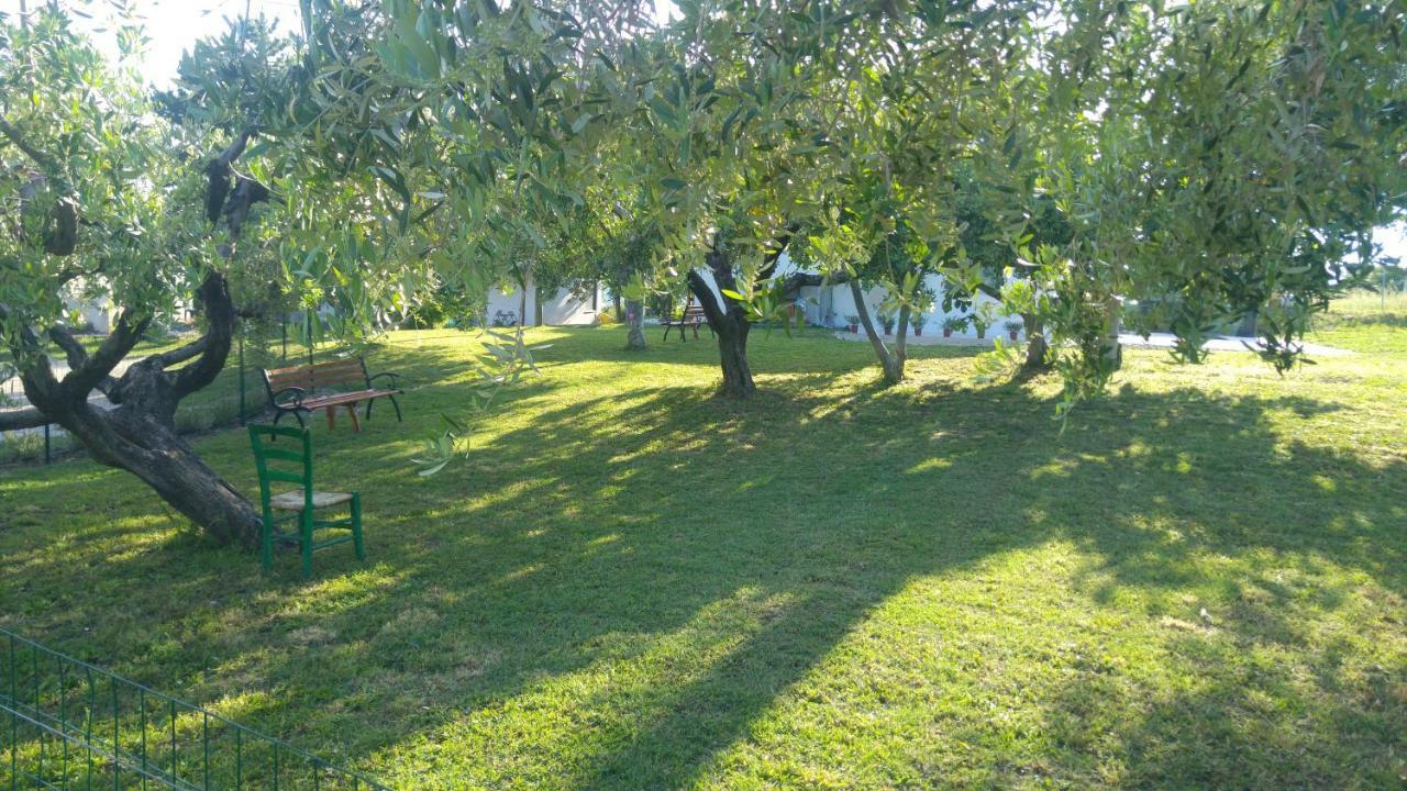 Relais Il Giardino Fra Gli Ulivi Villa Torino di Sangro Kültér fotó