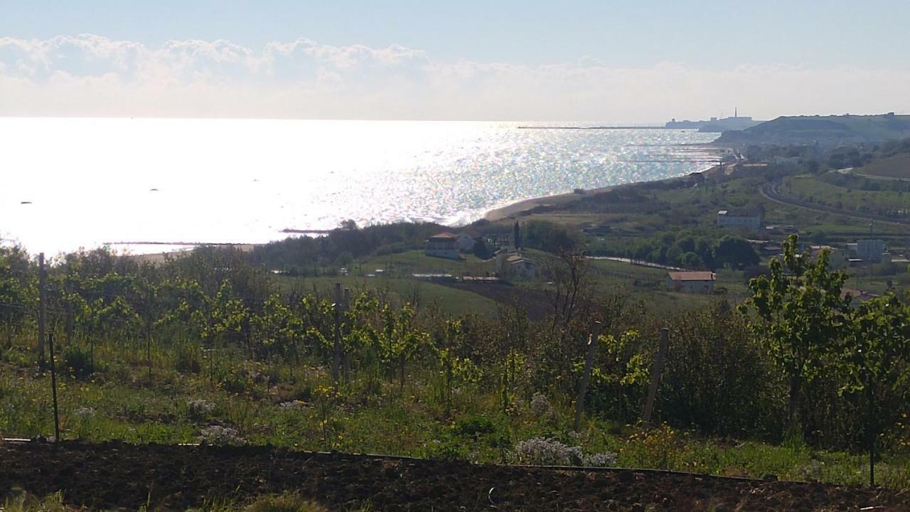 Relais Il Giardino Fra Gli Ulivi Villa Torino di Sangro Kültér fotó