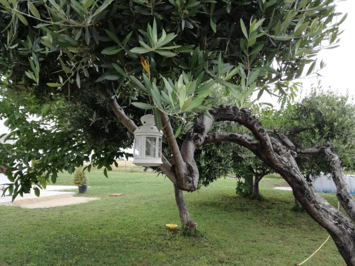 Relais Il Giardino Fra Gli Ulivi Villa Torino di Sangro Kültér fotó